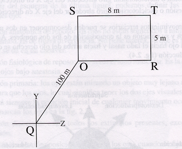 dinamica_14.gif