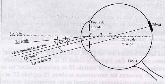 dinamica_4.gif