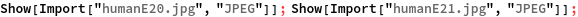 dinamica_40.gif