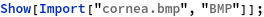 modelo_82.gif