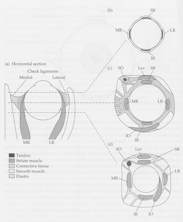 parametros_184.gif