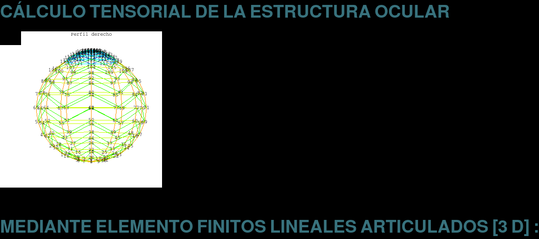 AnaEstru_1.gif